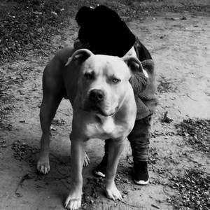 Meet your Posher, Tony